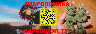 круглые Гусев