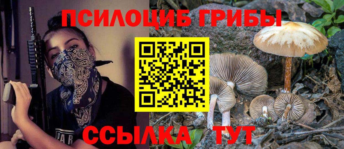 Березники  Галлюциногенные грибы GOLDEN TEACHER  Галлюциногенные грибы ЛСД  Вход с VPN 